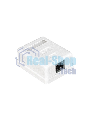 Розетка внешняя Exegate EX271122RUS RJ-45 кат.5/5E UTP Krone/110