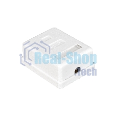 Розетка внешняя Exegate EX271122RUS RJ-45 кат.5/5E UTP Krone/110