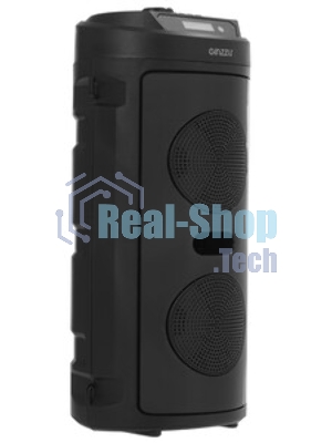 Акустическая система Midi GM-231 TWS/BT/USB/TF/FM/ДУ черный