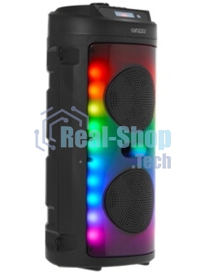 Акустическая система Midi GM-231 TWS/BT/USB/TF/FM/ДУ черный