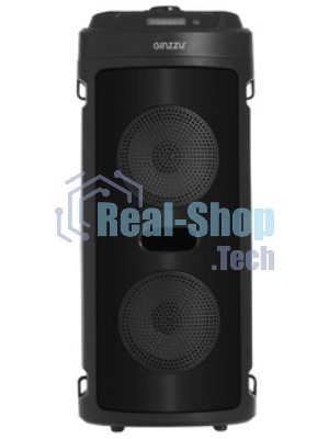 Акустическая система Midi GM-231 TWS/BT/USB/TF/FM/ДУ черный