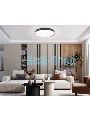 Потолочный светодиодный светильник Ambrella light FZ1249 BK/GD черный/золото IP54 45W 5000K D480*60 (Без ПДУ)