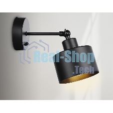 Светильник Ambrella light TR8137 BK черный E27 max 40W D120*290