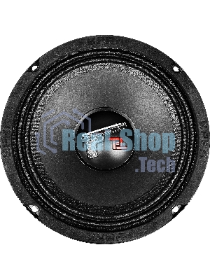 Колонки автомобильные Ural ТТ 165.2 (без решетки) 220Вт 95дБ 4Ом 16.5 см (6 1/2 дюйм) (ком.: 2кол.) среднечастотные однополосные