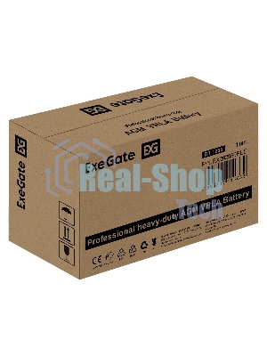 Аккумуляторная батарея ExeGate DT 1265 (12V 65Ah, под болт М6)