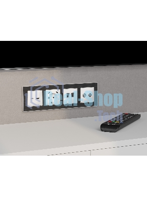 Лицевая панель ALFA (Белый матовый) для TV двойной розетки QUANT AP1333