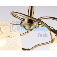 Светильник Ambrella light TR3199/5 SB/CL/FR бронза/прозрачный/белый матовый E27/5 max 40W D600*485