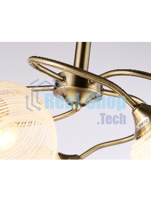 Светильник Ambrella light TR3199/5 SB/CL/FR бронза/прозрачный/белый матовый E27/5 max 40W D600*485