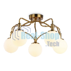 Светильник Ambrella light TR3212/5 GD/FR золото/белый матовый  E27*5 max 40W D560*302