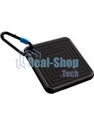 Внешний SSD 2TB Silicon Power PC60, External, USB 3.2 Type-C R/W - 540/500 MB/s черный