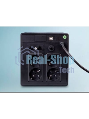 Источник бесперебойного питания PowerMan Smart Sine 1000 черный (Pure Sine Wave/LCD Display/USB/Software/RJ11/45)