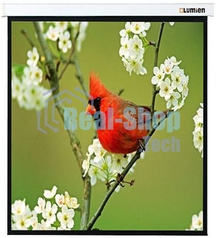 Экраны LUMIEN LUMIEN Master Picture LMP-100129 220*220 1:1, черная кайма по периметру