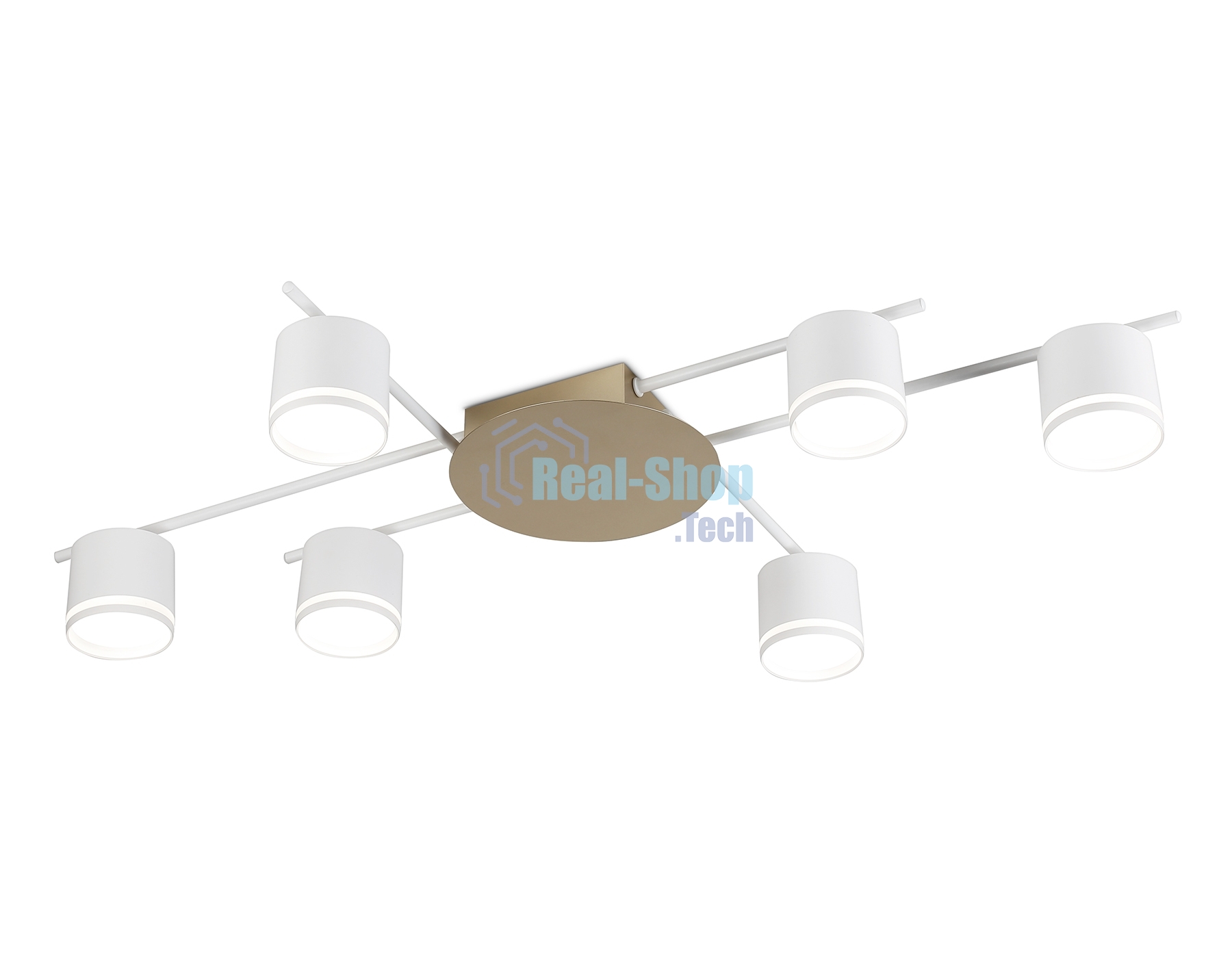Потолочный светильник Ambrella light FL51755/6 WH/GD белый/золото GX53/6 max 12W 870*570*110