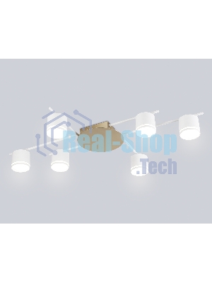 Потолочный светильник Ambrella light FL51755/6 WH/GD белый/золото GX53/6 max 12W 870*570*110