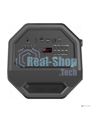 Портативная акустика Defender Rage 50 Вт Light/BT/FM/USB/LED/TWS черный