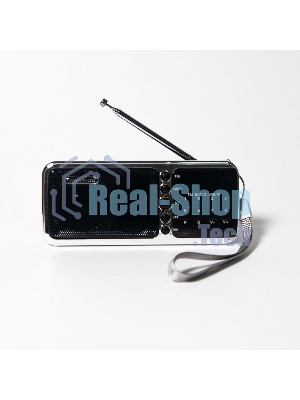 Радиоприемник портативный Сигнал РП-226BT черный/серебристый USB microSD