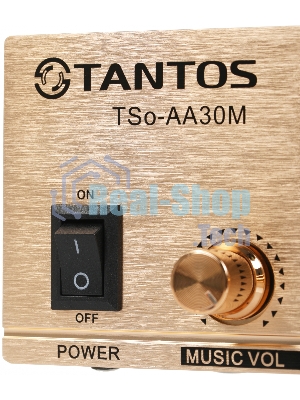 Усилитель Tantos TSo-AA30M выход 100Вт/30Вт