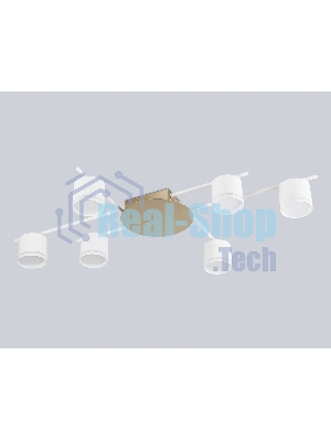 Потолочный светильник Ambrella light FL51755/6 WH/GD белый/золото GX53/6 max 12W 870*570*110