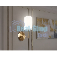 Настенный светильник Ambrella light LH56056 BS/FR латунь/белый матовый E14 max 40W 160*120*280