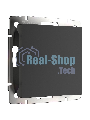 Заглушка Werkel W1159208 (черный матовый)