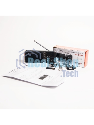 Радиоприемник портативный Сигнал РП-226BT черный/серебристый USB microSD