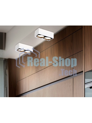 Светильник накладной TN70872/2 WH/BK белый/черный GX53/2 max 12W 185*92*62
