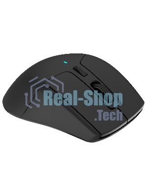 Мышь беспроводная Acer OMR170 черный, 1600 dpi, радиоканал, Bluetooth, USB, кнопки - 6