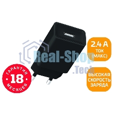 Сетевое зарядное устройство GoPower GP1U 1USB 2.4A 12W черный (1/120/480)