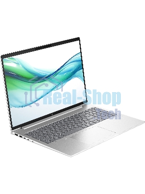 Ноутбук HP Probook 460 G11 16