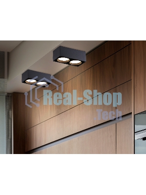 Светильник накладной TN70875/2 BK черный GX53/2 max 12W 185*92*62