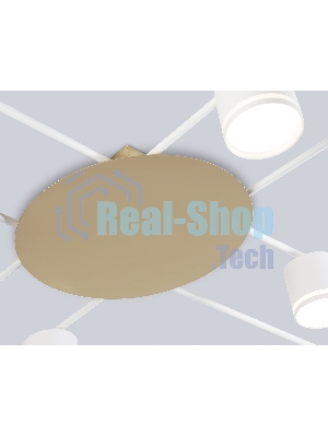 Потолочный светильник Ambrella light FL51759/8 WH/GD белый/золото GX53/8 max 12W 870*870*95