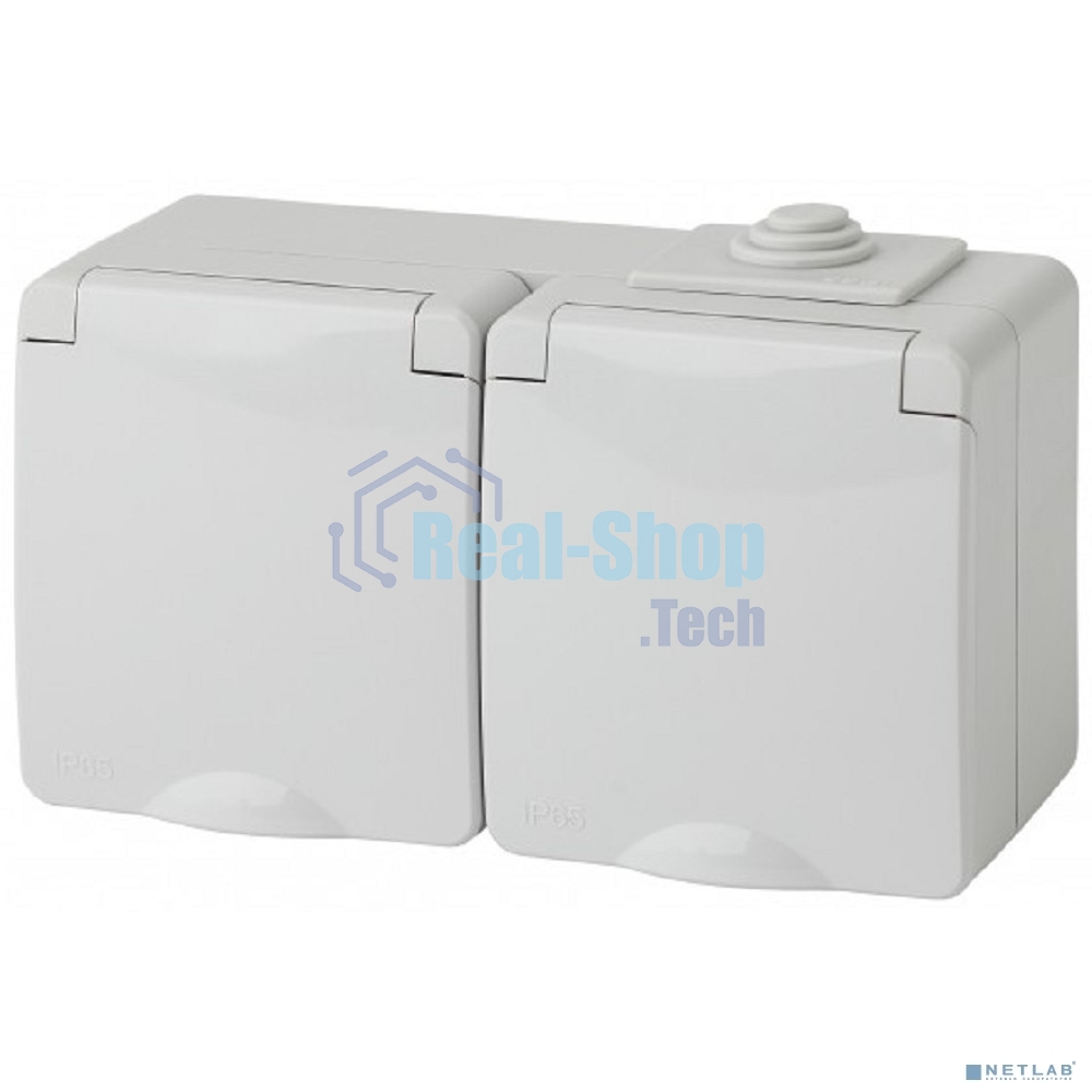 Розетка ЭРА 11-2603-03 2x2P+E гориз. IP65, 16A-250В, ОУ, серый