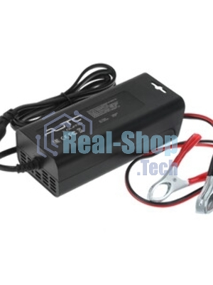 Универсальное зарядное устройство QUMO для аккумуляторов с напряжением 12V, модель Thunder Optima 12V6A