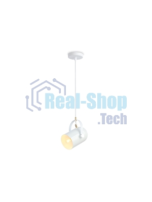 Светильник Ambrella light TR8205 WH белый E27 max 40W D117*1035