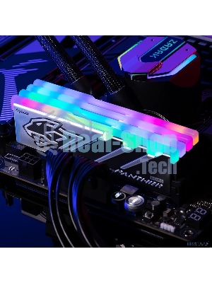 Оперативная память Apacer Panther RGB, DDR5, 16GB (1x16GB), 6000 MHz, CL40, с радиатором, черно-серый, RGB