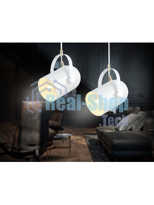 Светильник Ambrella light TR8205 WH белый E27 max 40W D117*1035