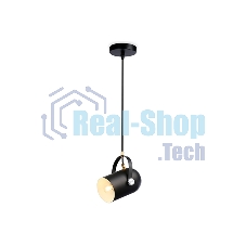 Светильник Ambrella light TR8206 BK черный E27 max 40W D117*1035
