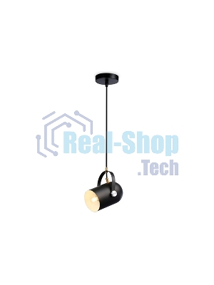 Светильник Ambrella light TR8206 BK черный E27 max 40W D117*1035