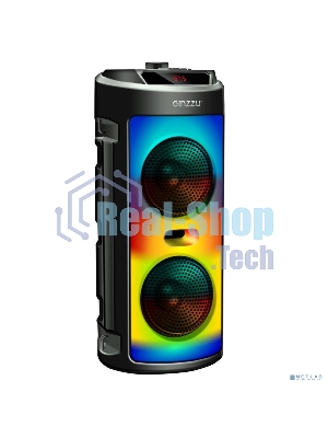 Акустическая система Midi GM-231 TWS/BT/USB/TF/FM/ДУ черный