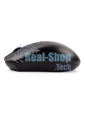 Мышь беспроводная A4Tech G3-200NS черный, 1200 dpi, радиоканал, USB, кнопки - 3