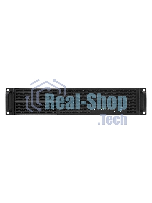 Серверная платформа ExeGate EX293875RUS Pro 2U650-06/2U2098L (RM 19
