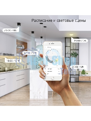 Лампа светодиодная филаментная Gauss Smart Home DIM+CCT E14 C35 4,5 Вт 2000-6500 К 1/10/40