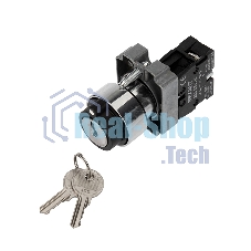 Переключатель Rexant BD21 2P с замком NO
