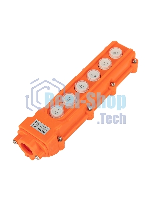 Пульт кнопочный Rexant ПK-6 на 6 кнопок IP54
