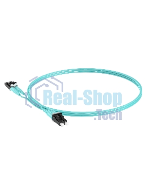 Патч-корд Panduit FX2ELLNLNSNM002 2x50/125 OM3 LC дуплекс-LC дуплекс 2м LSZH аквамарин