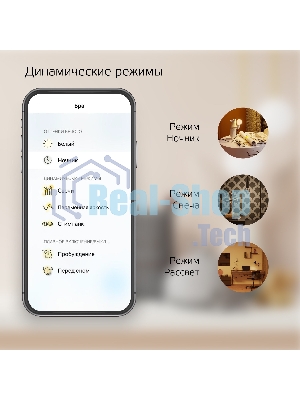 Лампа светодиодная филаментная Gauss Smart Home DIM E14 C35 4,5 Вт 1/10/40