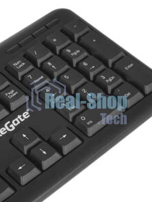 Клавиатура проводная ExeGate Professional Standard LY-405 (EX287138RUS), USB, черный