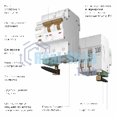 Умный автоматический выключатель Werkel 2 P  63 A  C  6 kA W1002P6301
