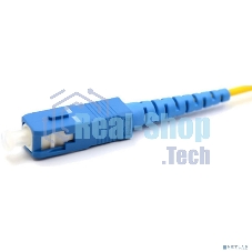 Патч-корд оптический переходной Rexant (SM), 9/125 (OS2), SC/APC-SC/UPC, (Simplex), LSZH, 2м