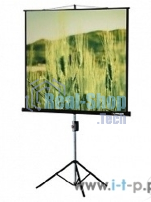 Экраны LUMIEN Lumien Экран на треноге 180x180 см Eco View LEV-100102 1:1 с возможностью настенного крепления